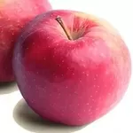 Яблоки оптом из Польши