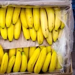 Бананы оптом из Эквадора 
