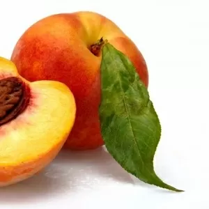 купим персик , нектарин крупным оптом