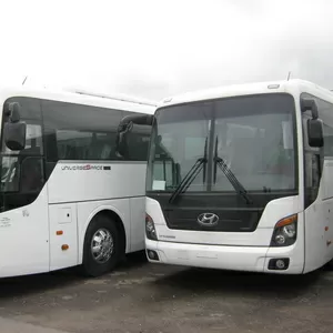 Автобус Hyundai Universe Luxury Туристический