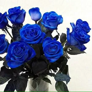 Синие розы от 200 руб./шт.