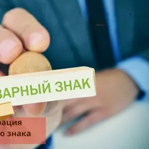 Регистрация и оформление товарного знака и торговой марки,  С-Петербург