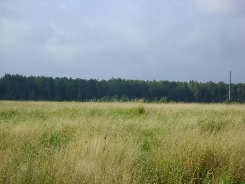 Сад. участок в Ириновке продам за 60 тыс. руб.