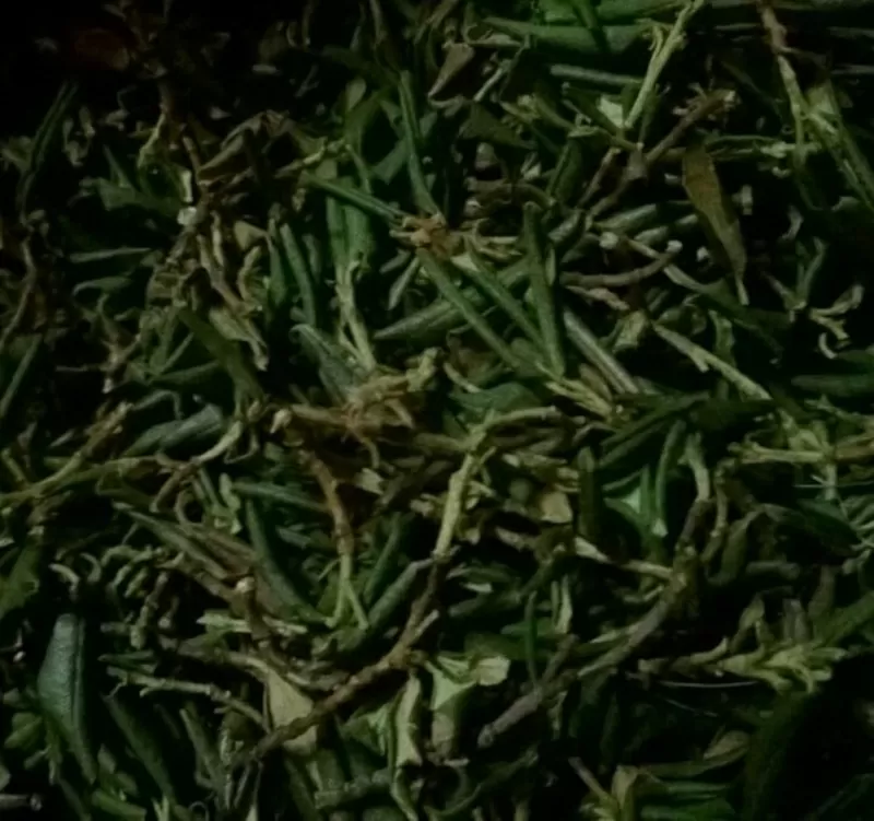 Травяные чаи Кавказа,  Ароматный Саган Дайля в СПб оптом. Свежий урожай