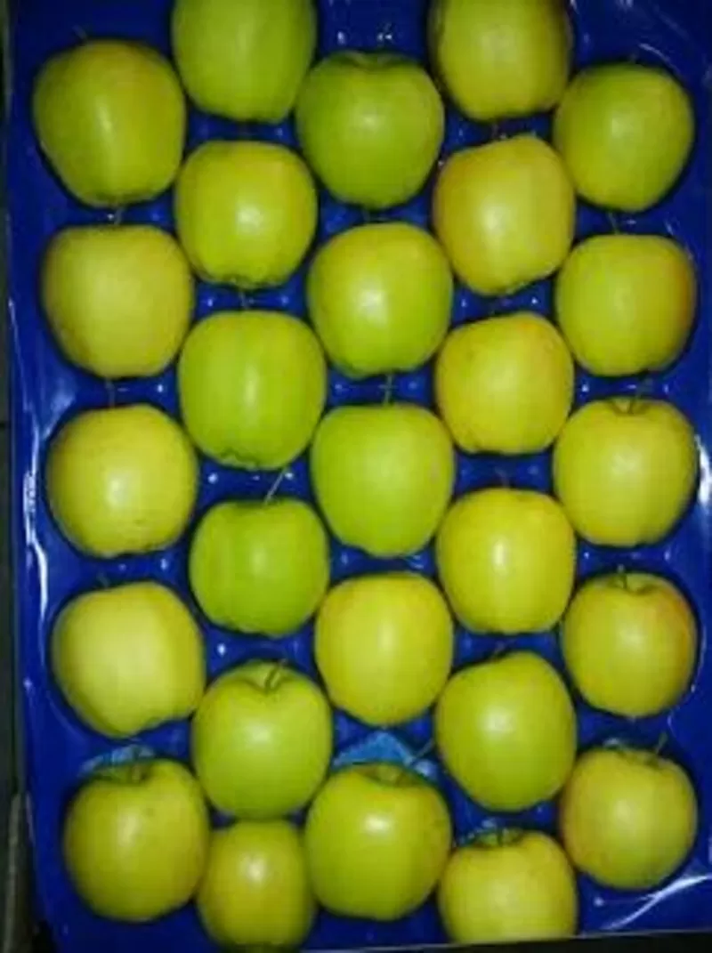Яблоки польские опт