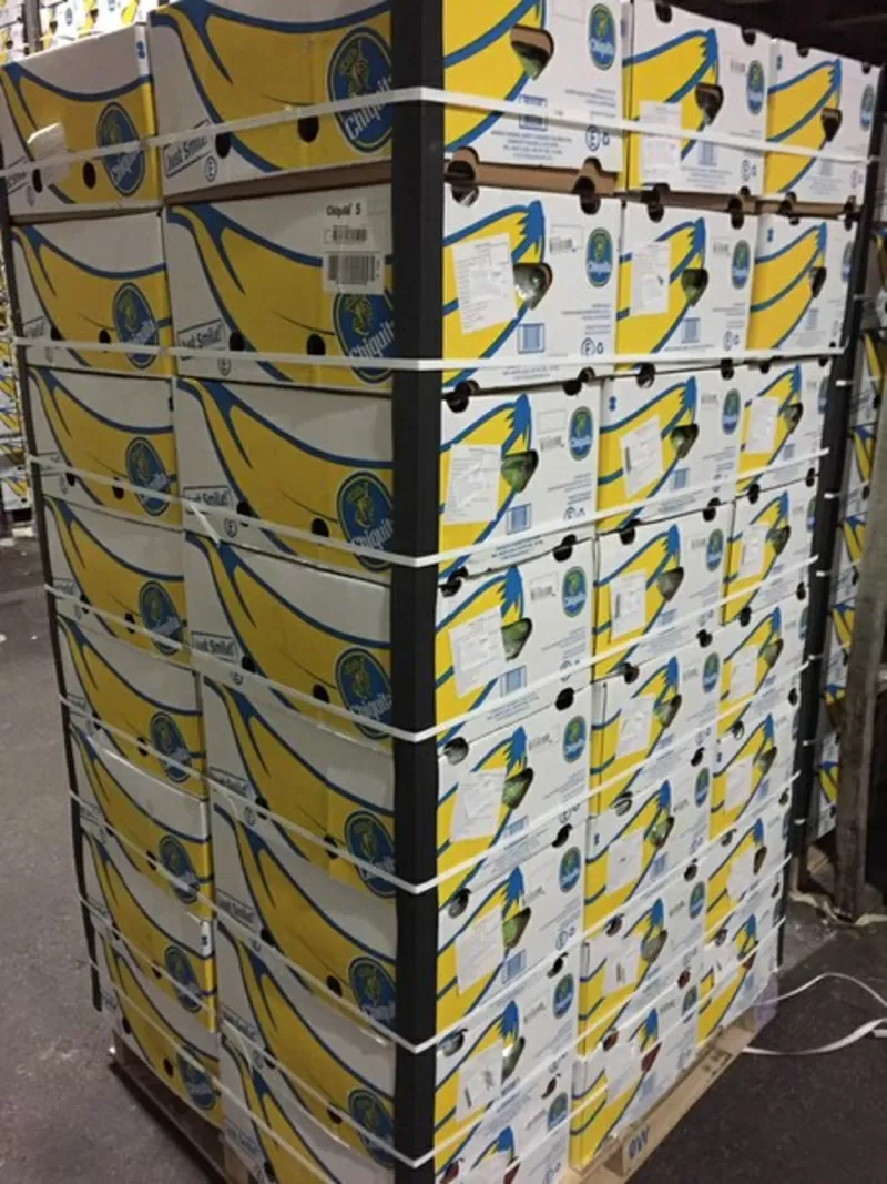 Бананы оптом. Прямые поставки от производителя. Эквадор