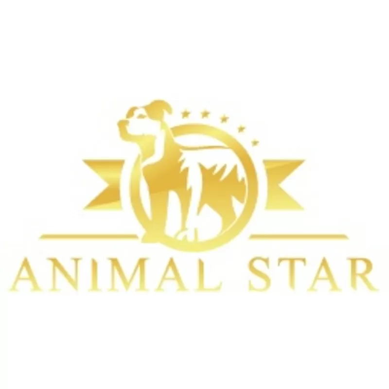 Школа груминга AnimalStar 3